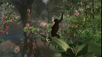 Assassin's Creed 4 : Black Flag - La chasse et la pêche