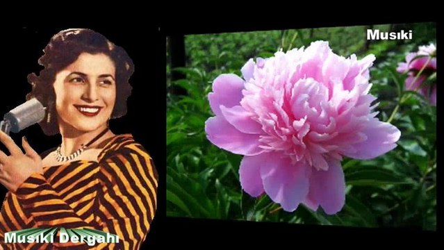 Perihan Altındağ Sözeri ♫ Fesleğen ektim gül bitti.HD