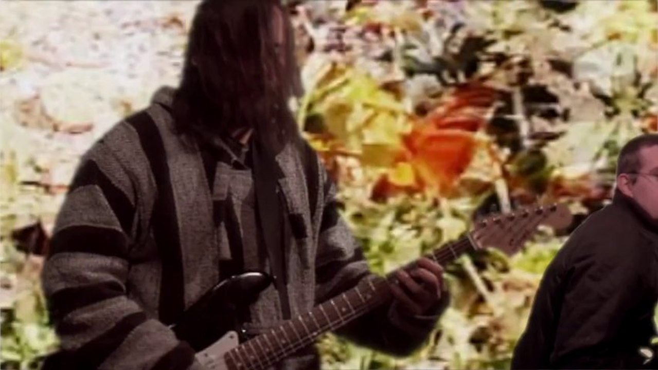 Cannabis Sativa and the Mechanical Galaxy - Butterfly Mutations Official Music Video