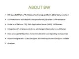 sap bibw  online training/placements