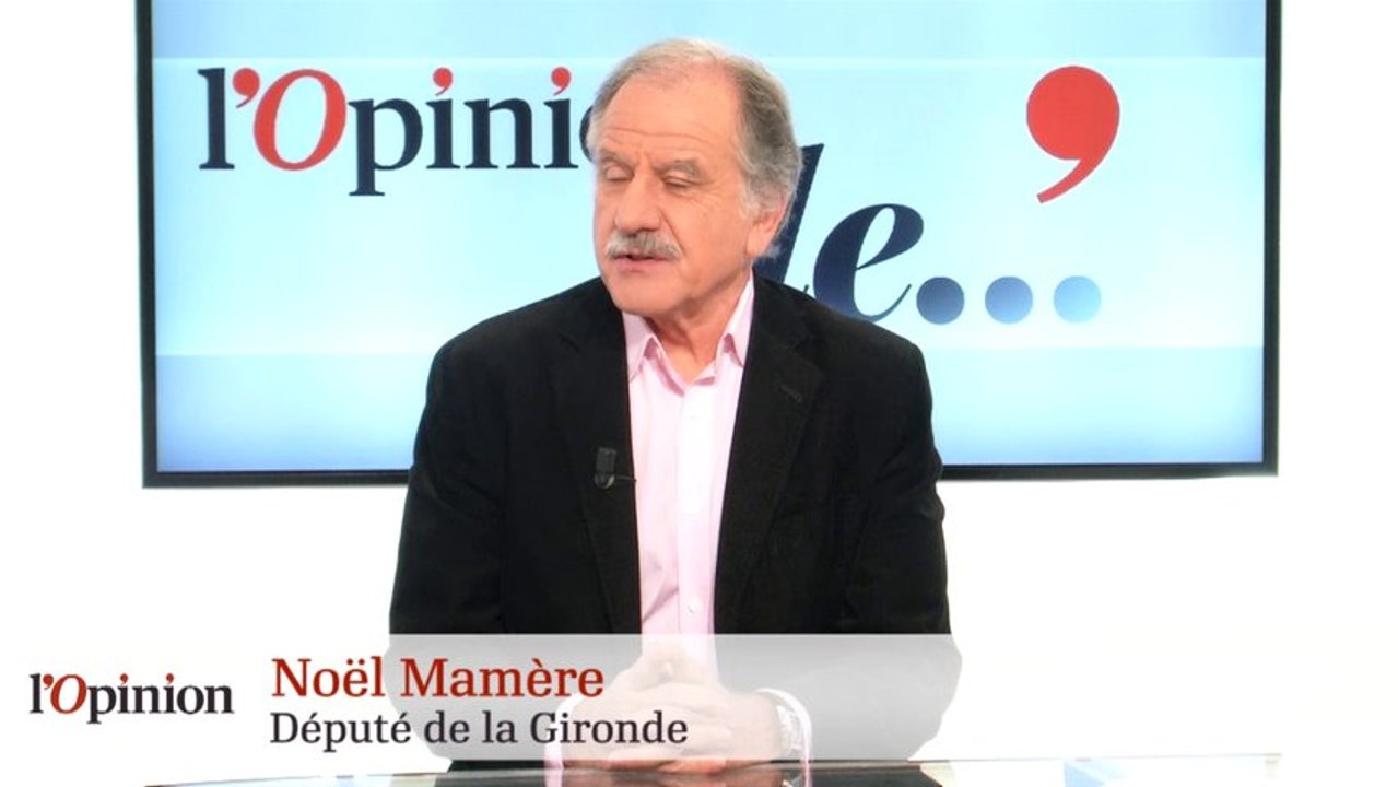 L'Opinion de Noël Mamère