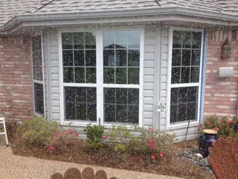 When should you opt for replacement doors and windows