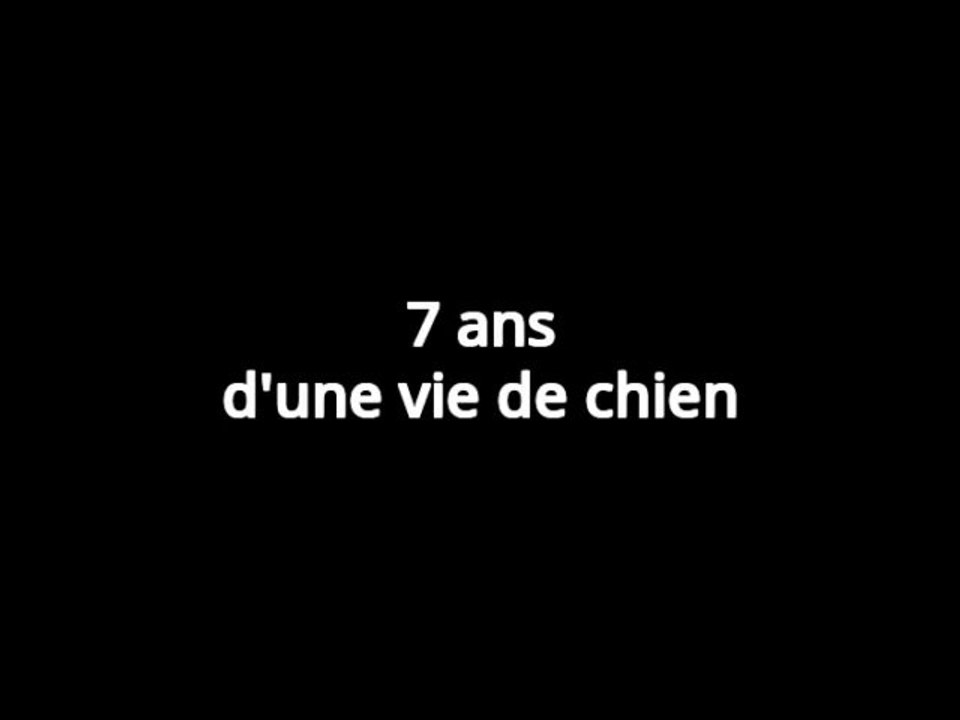 7 ans d'une vie de chien