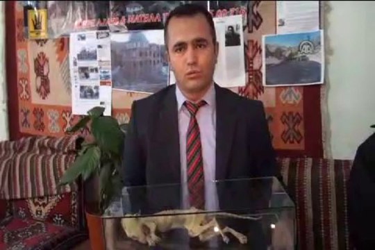 Cami temelinde hayvan fosili bulundu