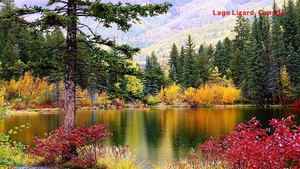 Magnifiques Photos (PP720)