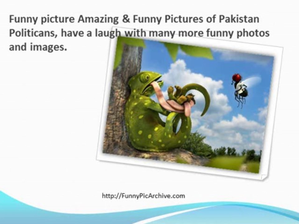 Online Funny Pictures