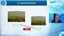 Alexandre Mirlicourtois, Xerfi Canal Montée en gamme de la France : le cas exemplaire des vins et spiritueux