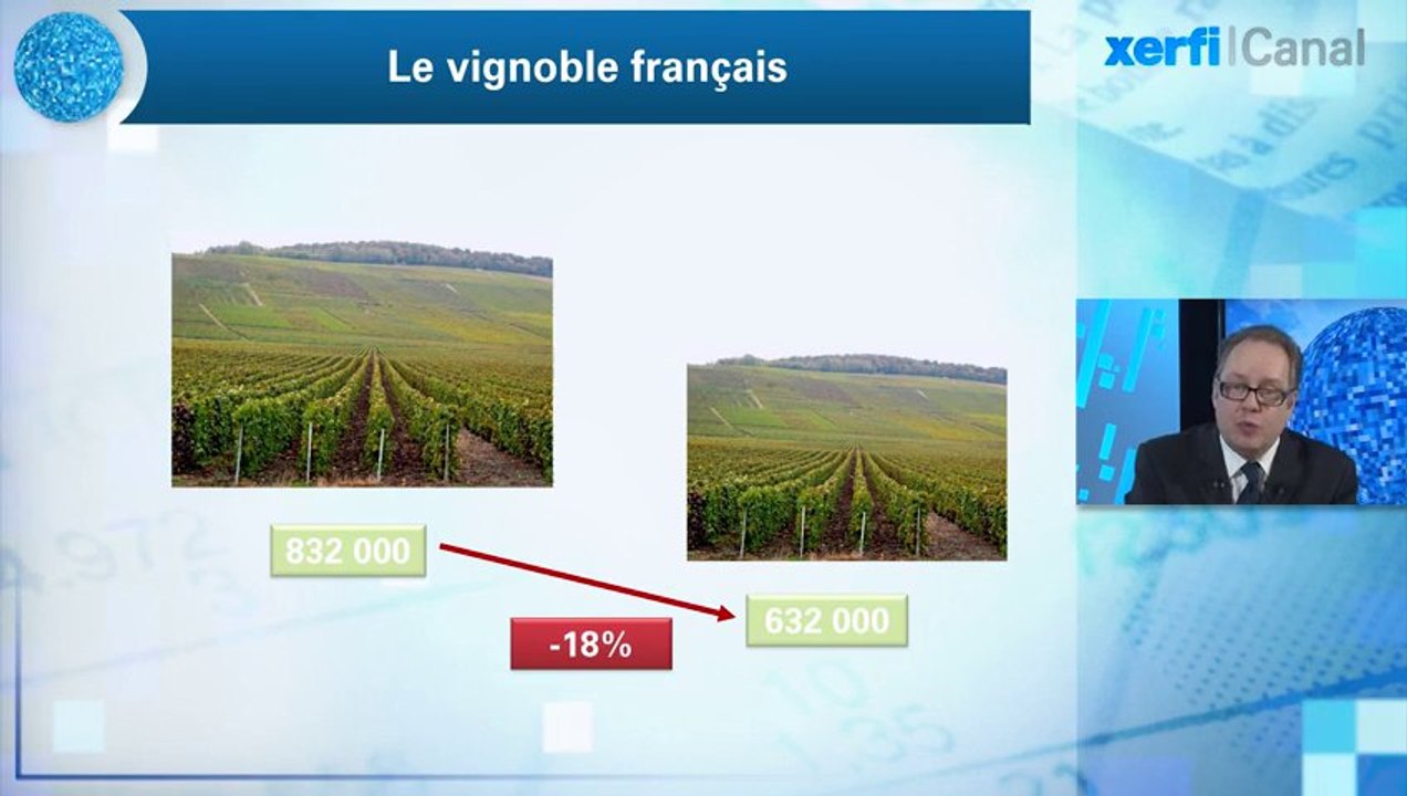 Alexandre Mirlicourtois, Xerfi Canal Montée en gamme de la France : le cas exemplaire des vins et spiritueux