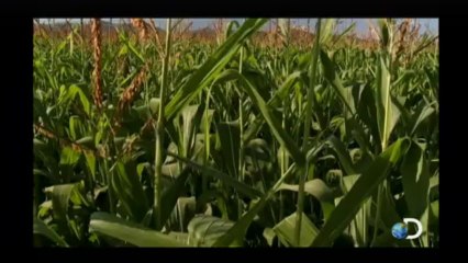 História do Mundo - Ep 1 Sobrevivência [Discovery Channel HD]