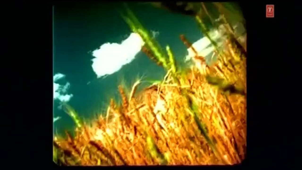 Hum Tumhe Chahte Hain Aise- Medley _ D.J. Doll- Kaanta Laga Remix (Full Video Song)