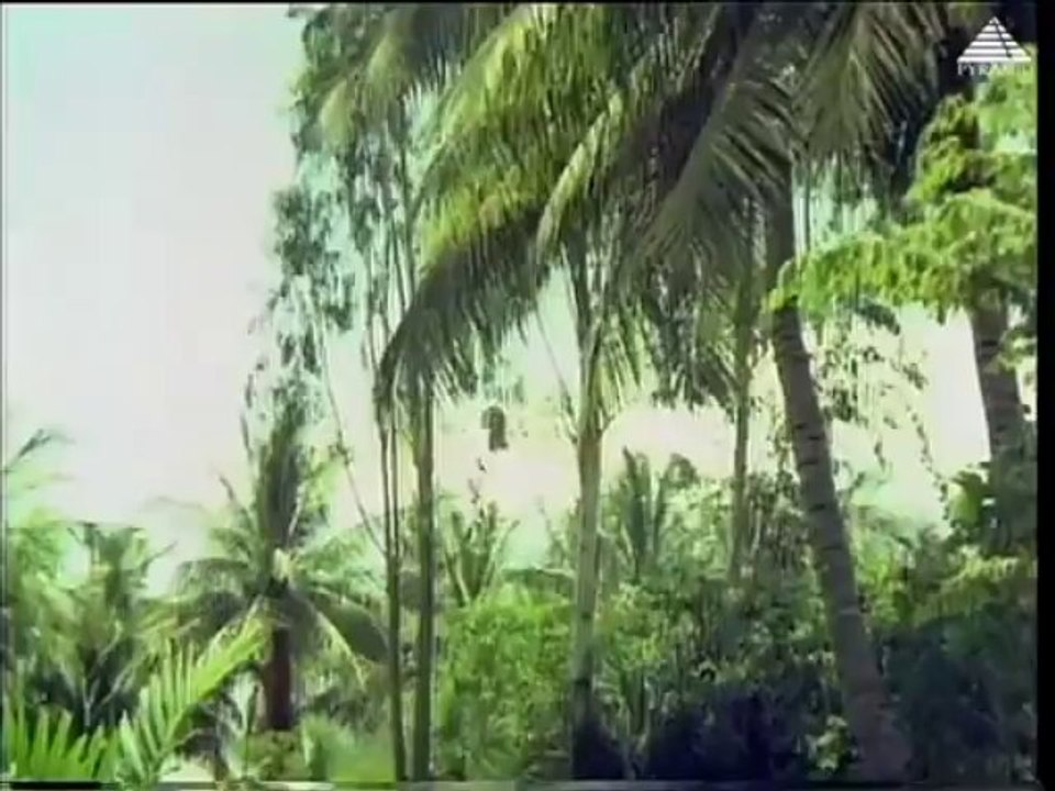 Savaal (1981) - Thiriyum Thiriyum