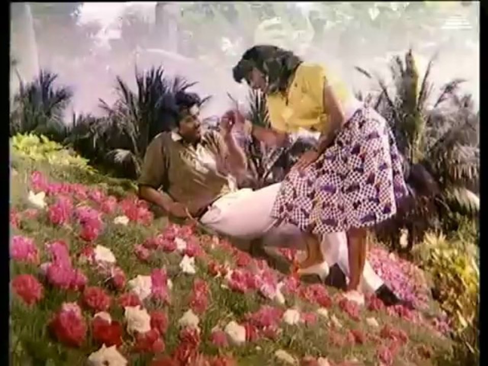 Pudhupatty Ponnuthayee (1994) - Maan Kutti(3)