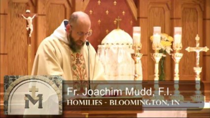 Nov 19 - Homily: Saintly Sister of St. Clare