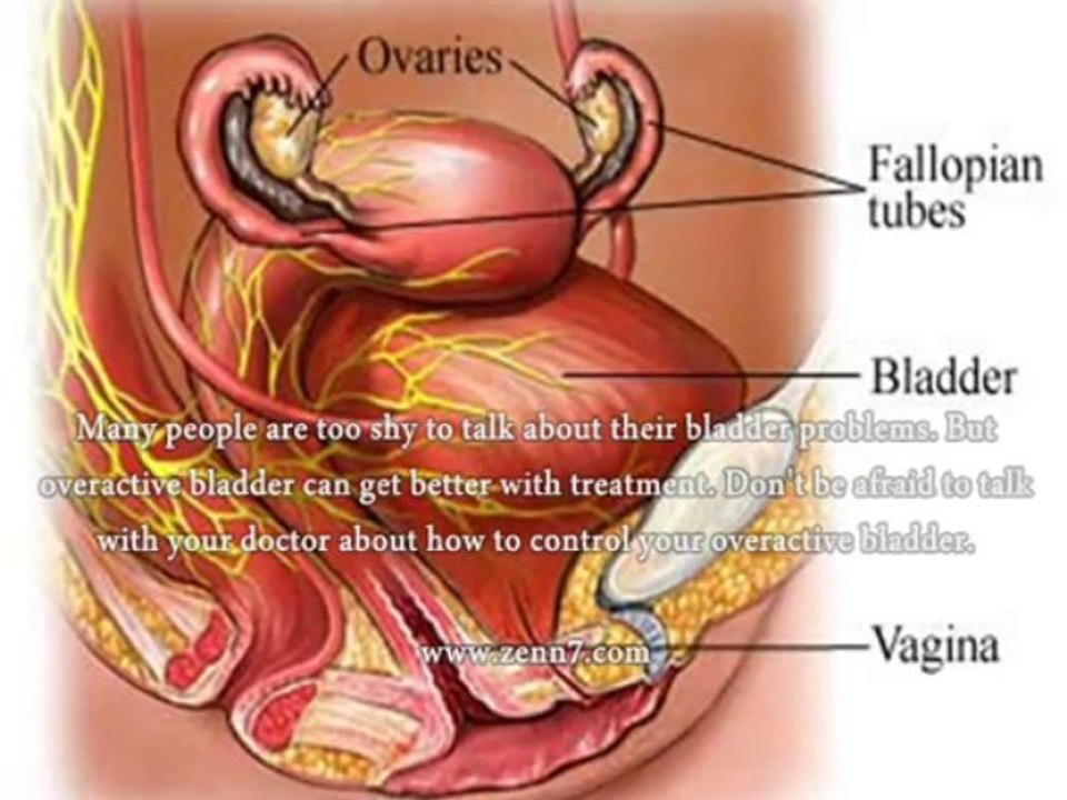 urgency urinate but bladder empty, what to do for urgency urinate but bladder empty?