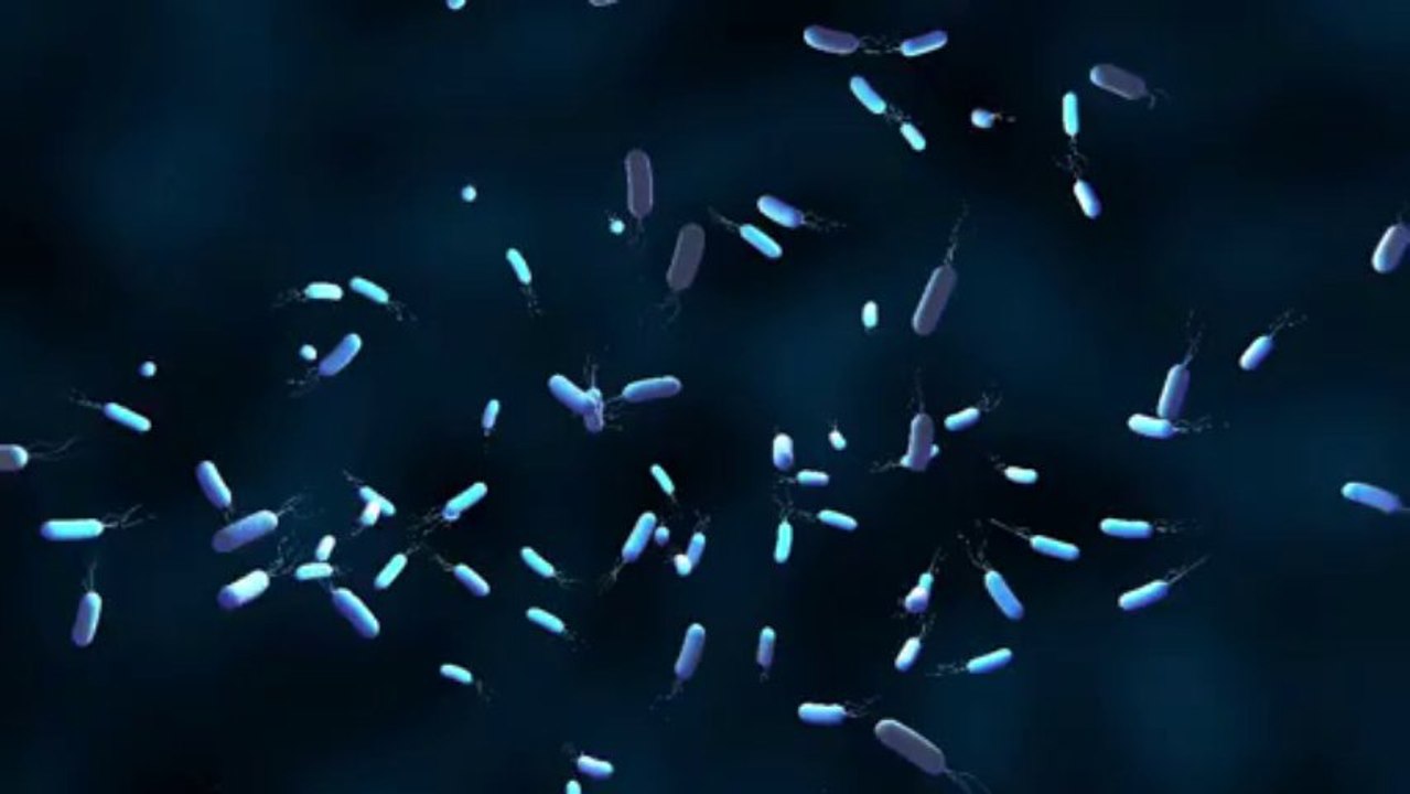 Bacterial resistance to antibiotics