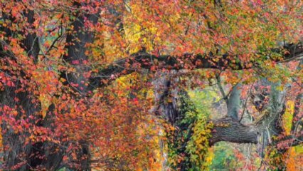 solstices et equinoxes