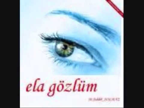 Hasan Yükselir Halaylar