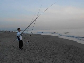 SURFCASTING DOUBLE CATCH: a striped seabream and a horse mackerel