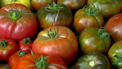 Potager Sarthois Alain Passard