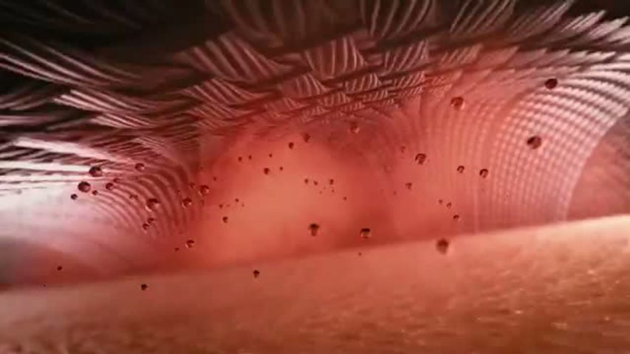 Les nouveaux produits GORE-TEX(R) Pro élaborés pour l'Extrême