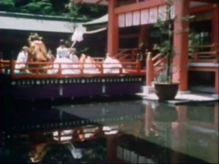 Evolución de la vida, natural e inducida