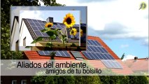 Eco Green Light - Consultores de Ingeniería y Energía Renovable Toa Baja