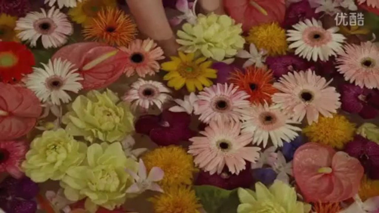 AKB48百花缭乱オフィシャルカレンダー2014＋Making