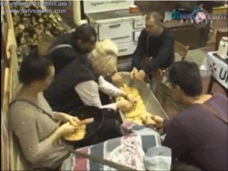 Kaca & Boris krune kukuruz :)