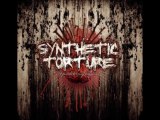 Synthetic Torture - Justifying Humanity (feat. Scott Jensen)