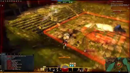 Guild Wars 2 Sloppy Fights