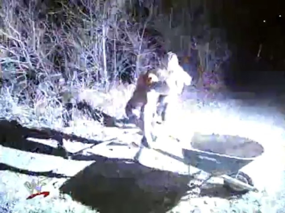 Al Snow vs Hardcore Holly (Bob Holly) Hardcore Match [St. Valentine's Day Massacre] [WWF]