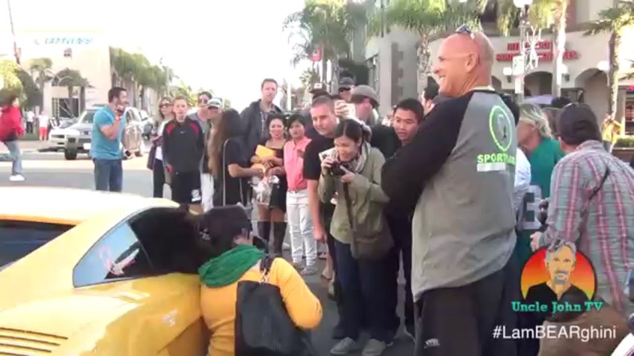 BEAR riding in a LAMBORGHINI Original Video