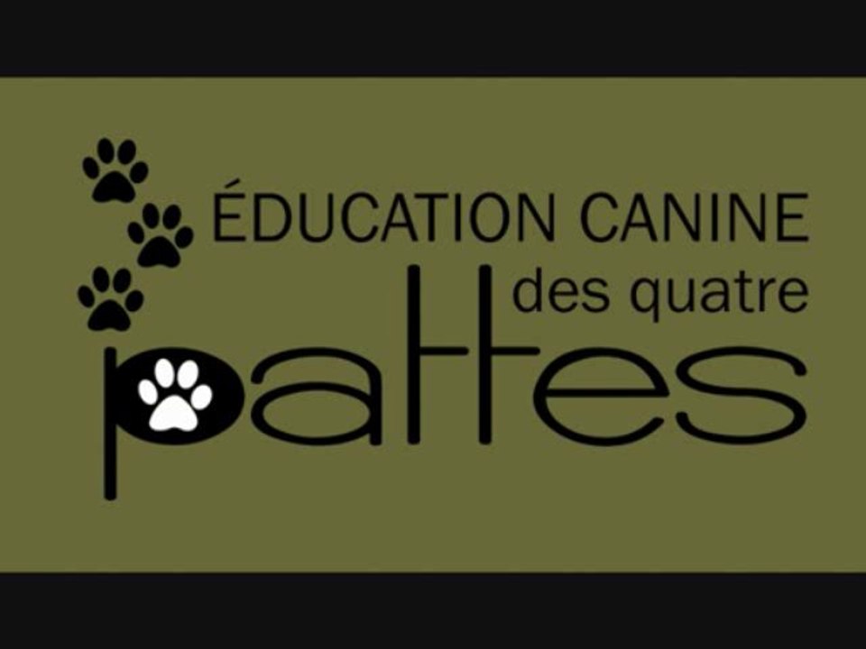 Éducation canine: le chien a des émotions et gérer le mordillage chez le chiot.
