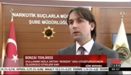 Hint kenevirinden üretilen Bonzai kayıcı beyin hasarına ve ölüme yol açıyor