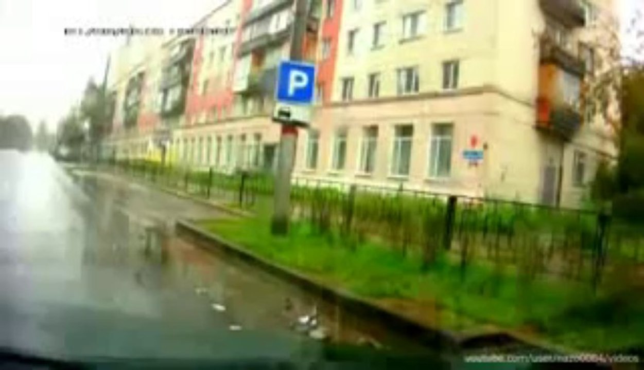 Traffic Accident  (313)