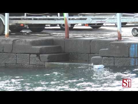 Napoli - Maltempo, aliscafi fermi -1- (19.11.13)