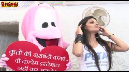 Uncensored Sherlyn Chopra Caught NUDE in BED