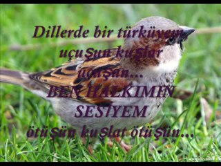 Mustafa YEŞİLYURT - Uçuşun Kuşlar Uçuşun.wmv
