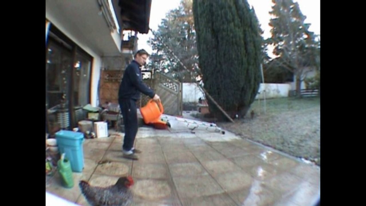 Der Hühnchenbändiger aus dem Schwarzwald