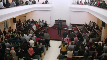 Alin Timofte - Ţie îţi dau inima mea