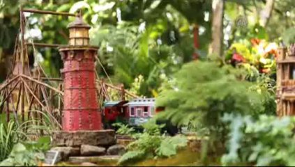 Ağaç New York'un tatil treni