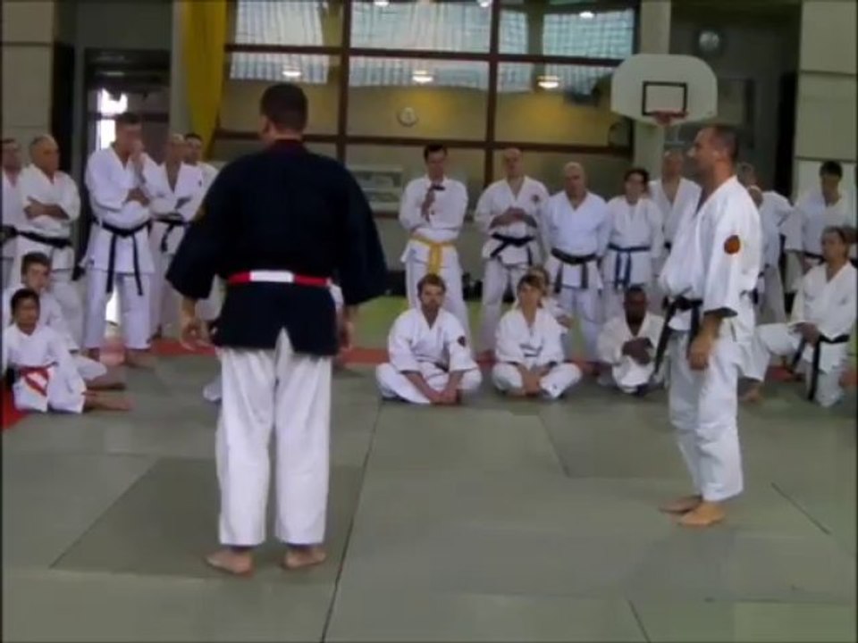 projection sur clefs du codifié(nihon tai jitsu 2013)