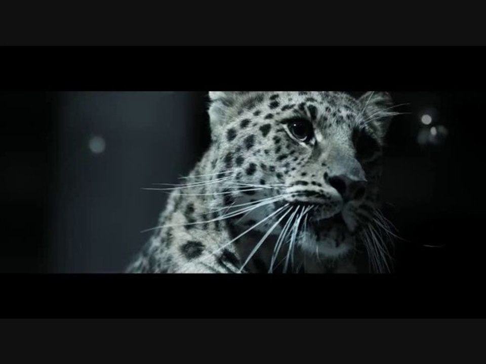 Rone - Bora vocal