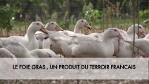 A la rencontre des producteurs de Foie Gras