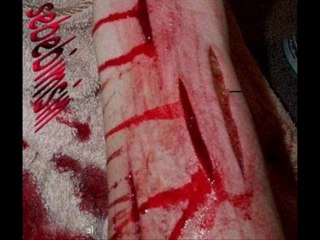 MAZLUM-Ekmeğimi Bölüştüğüm