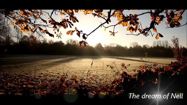 The dream of Nell (For Nelly...) Patrick Stafford Piano Orchestra Theme,Ste-Mary'S Band. Video Full HD 1080P