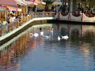 Melihat Gülses - Bülbülüm Altın Kafeste