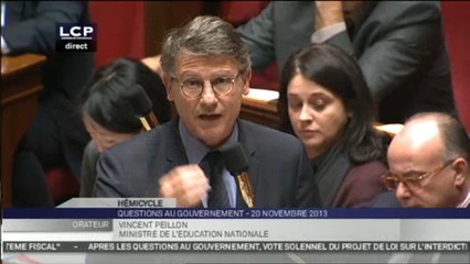 Les Questions au gouvernement : Séance du mercredi 20 novembre 2013