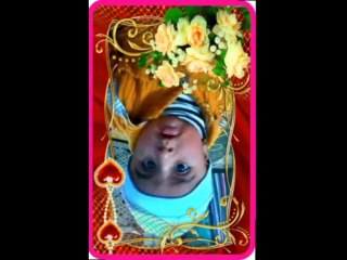 Muhammad Arshan Pictures collection