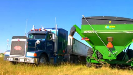 Official Trailer for the Great American Wheat Harvest documentary